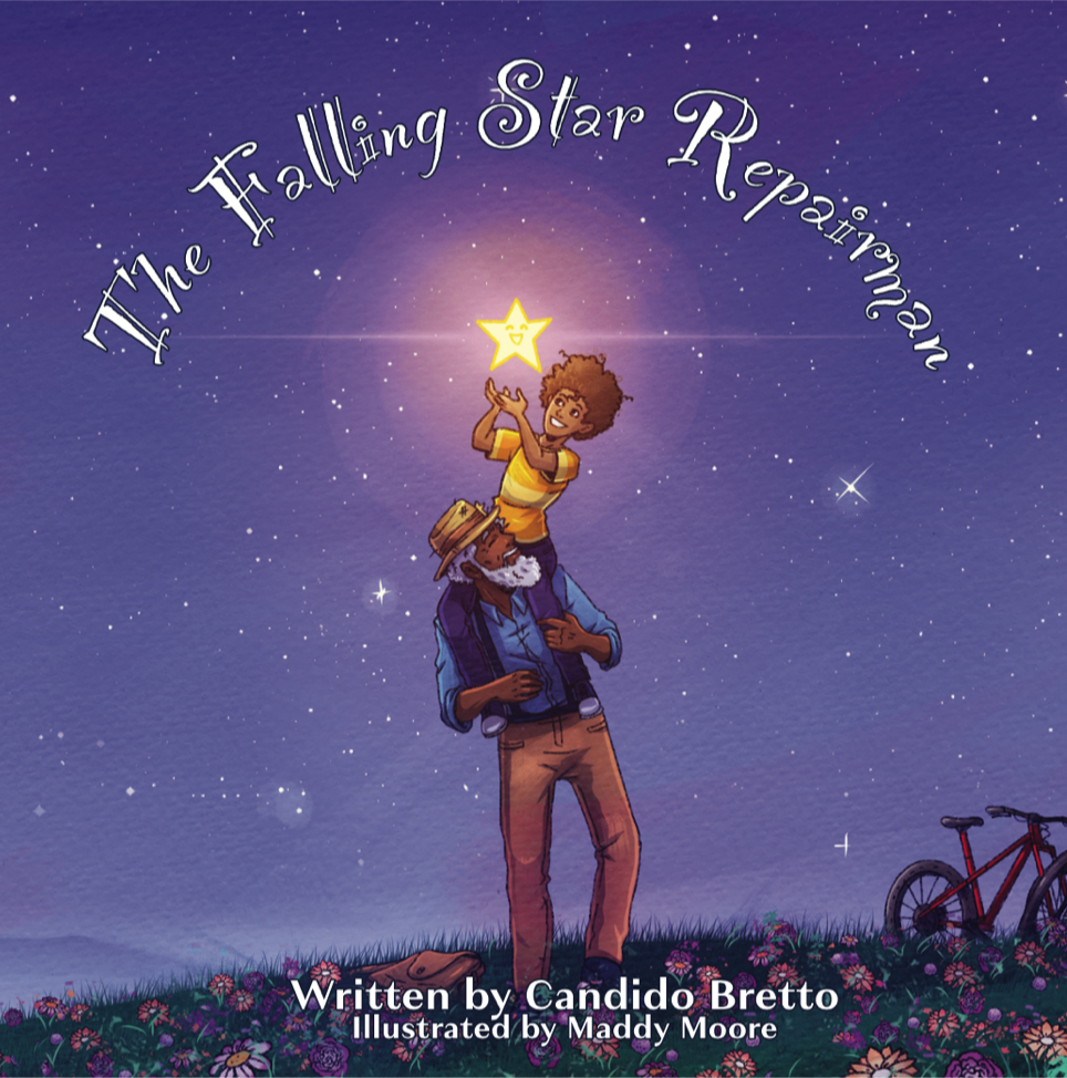 The Falling Star Repairman book cover placeholder